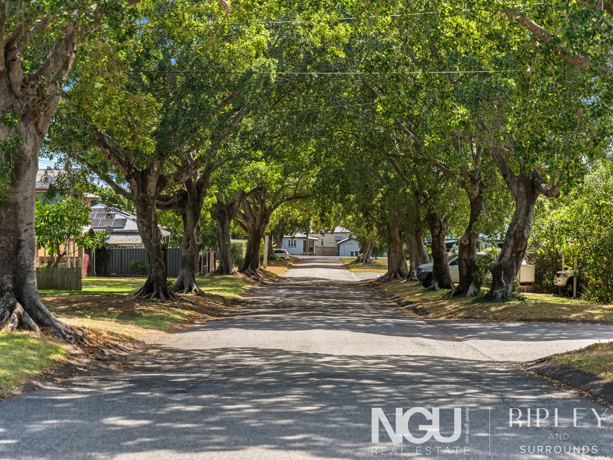 Additional image 5 of 13 Olmai Avenue, Eastern Heights QLD 4305