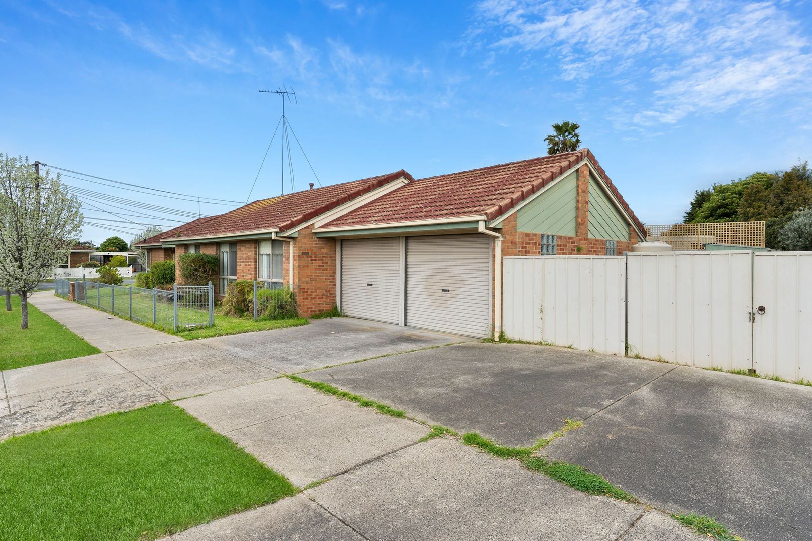1 Orbit Drive, Whittington VIC 3219 Domain