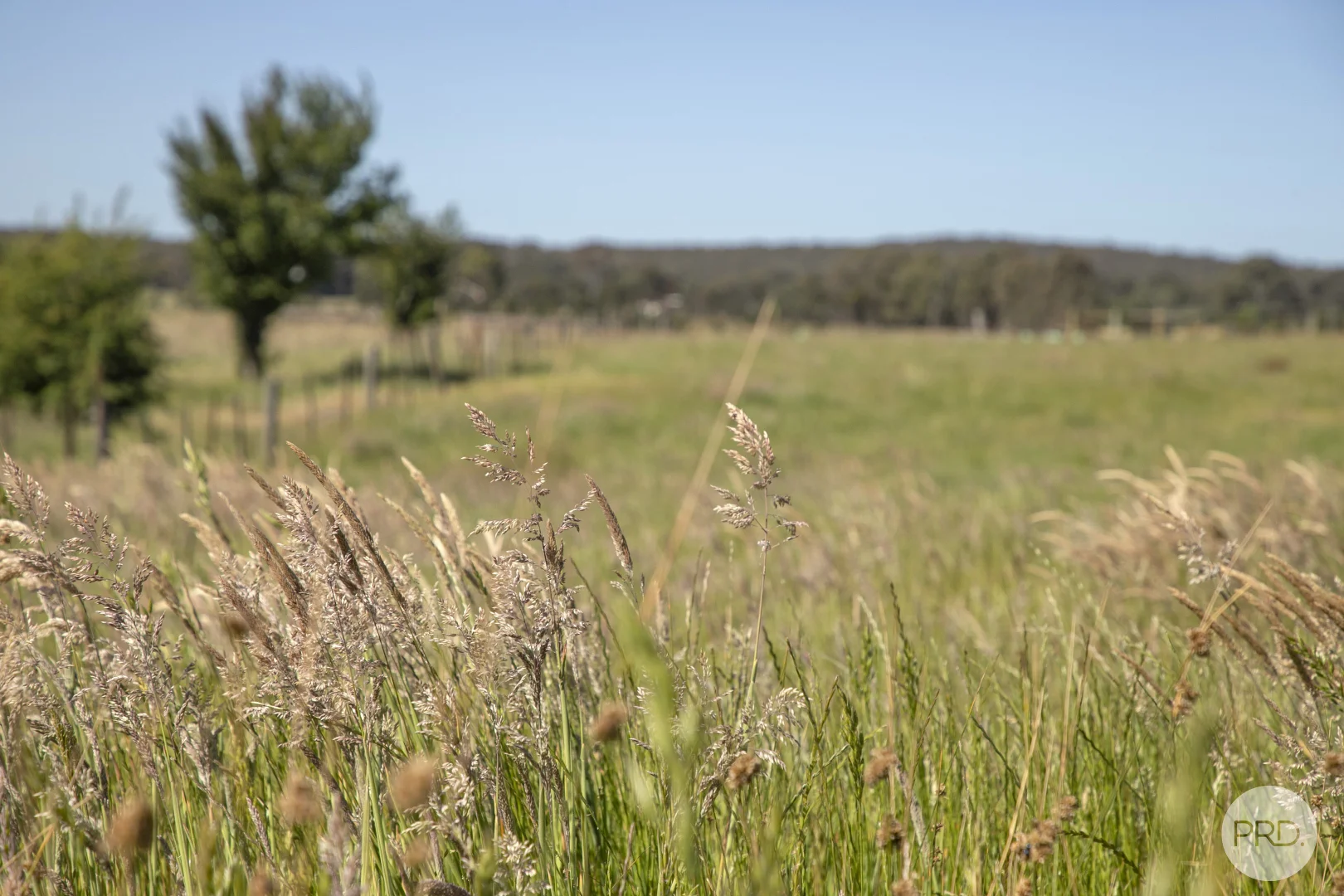Additional image 7 of Lot 1/108 Galatea Road, Newtown VIC 3351