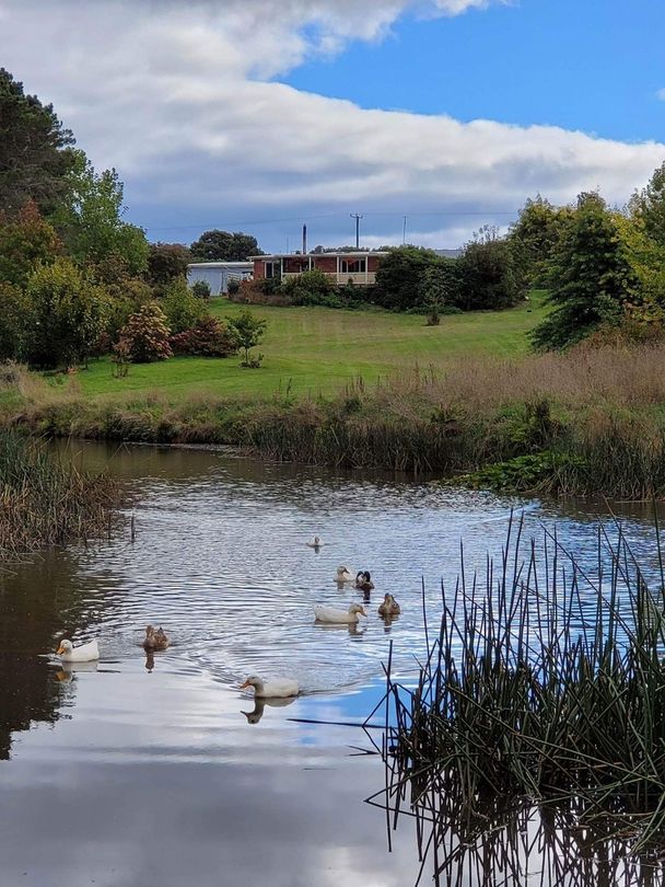 10 Rodmans Road, Kindred TAS 7310 House for Sale Domain