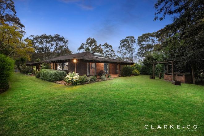 Picture of 538 Duns Creek Road, DUNS CREEK NSW 2321