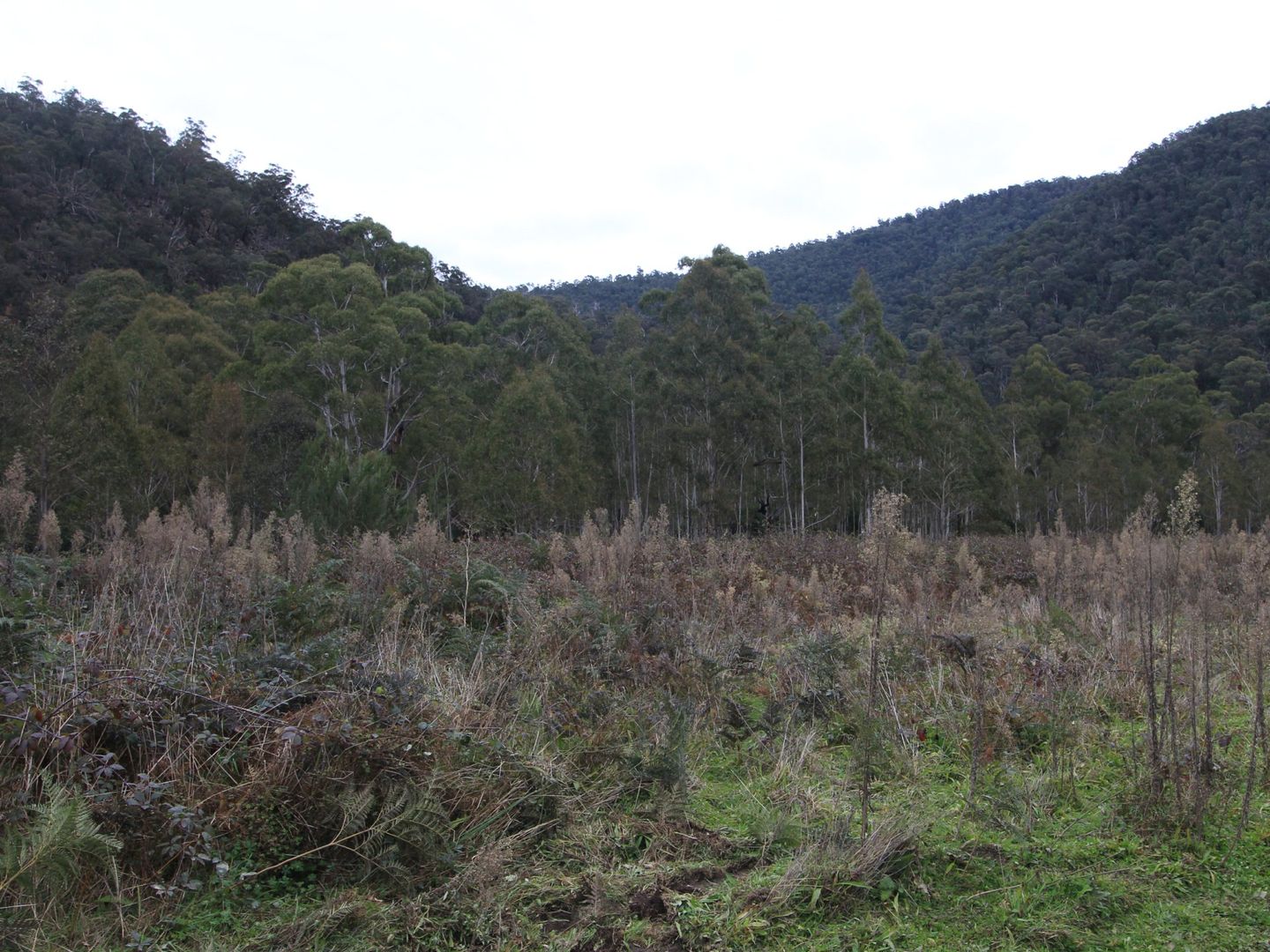 CA2 Upper Dargo Road, Dargo VIC 3862 House for Sale 495,000