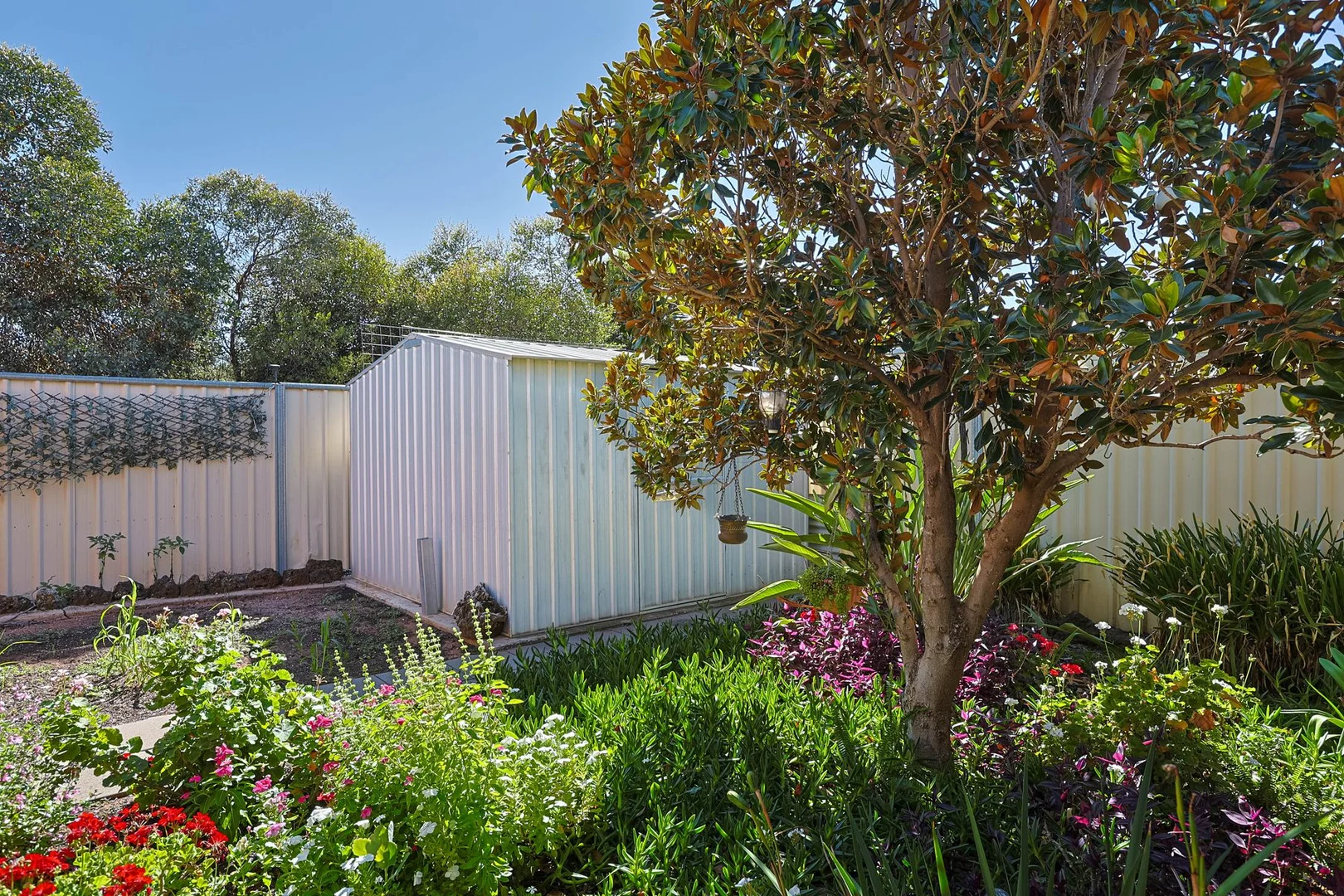 Additional image 15 of 18 Rural Drive, Mildura VIC 3500