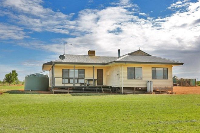 Picture of 147 Reserve West Road, DARETON NSW 2717