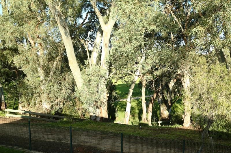 2 bedrooms Apartment / Unit / Flat in 76/47 Jarvis Road ELIZABETH VALE SA, 5112