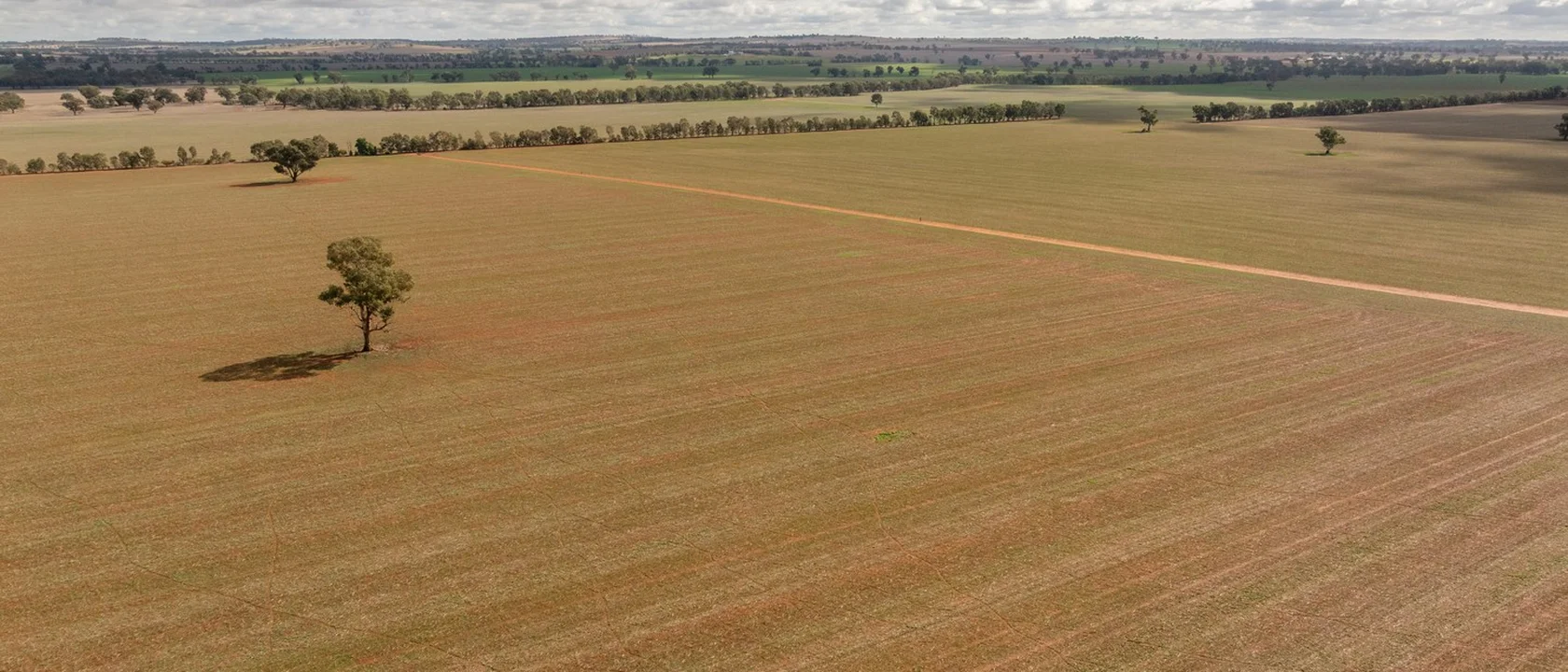 Old Junee NSW 2652 - Farm for Sale | Domain
