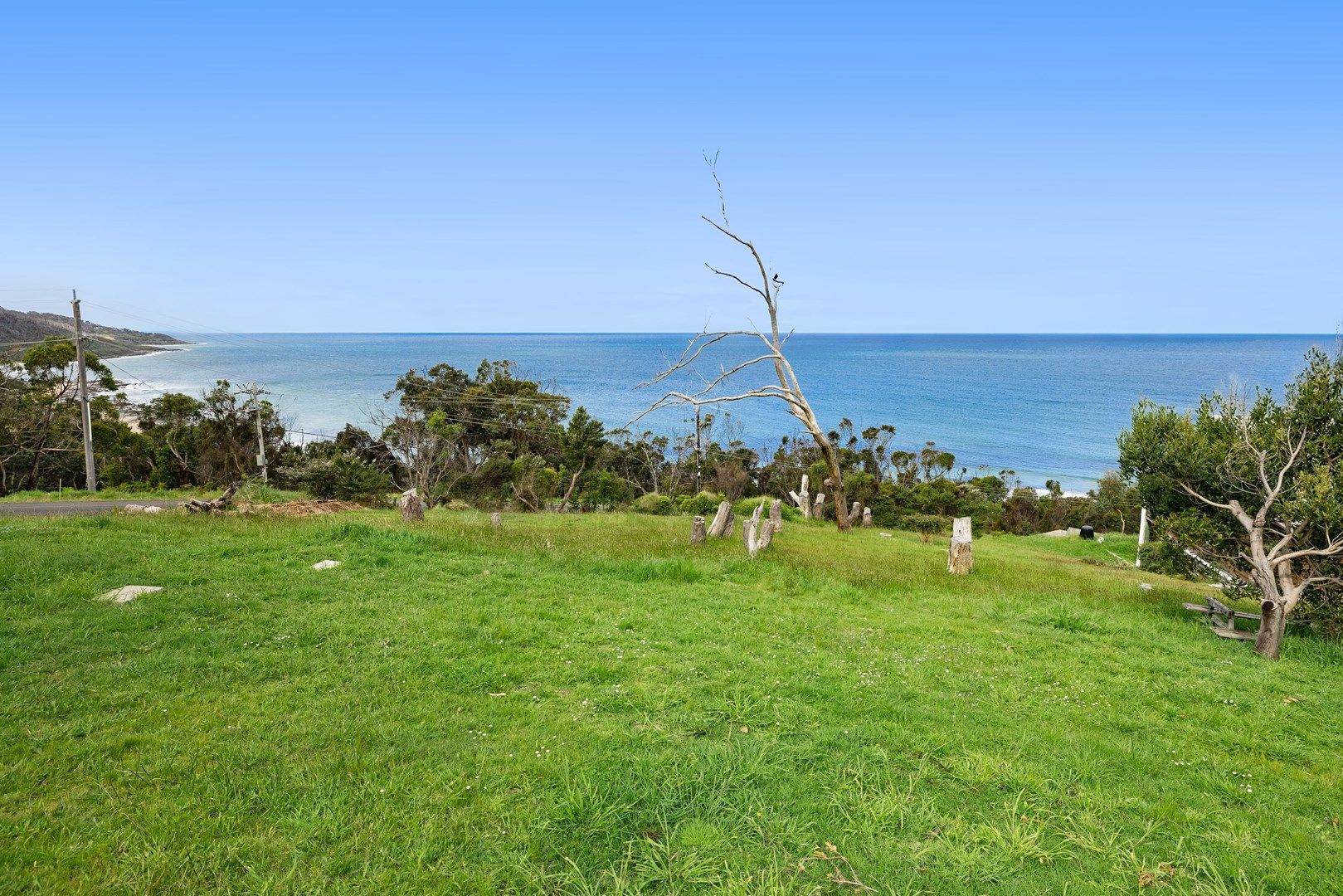 3 Ridge Drive, Kennett River VIC 3234, Image 0