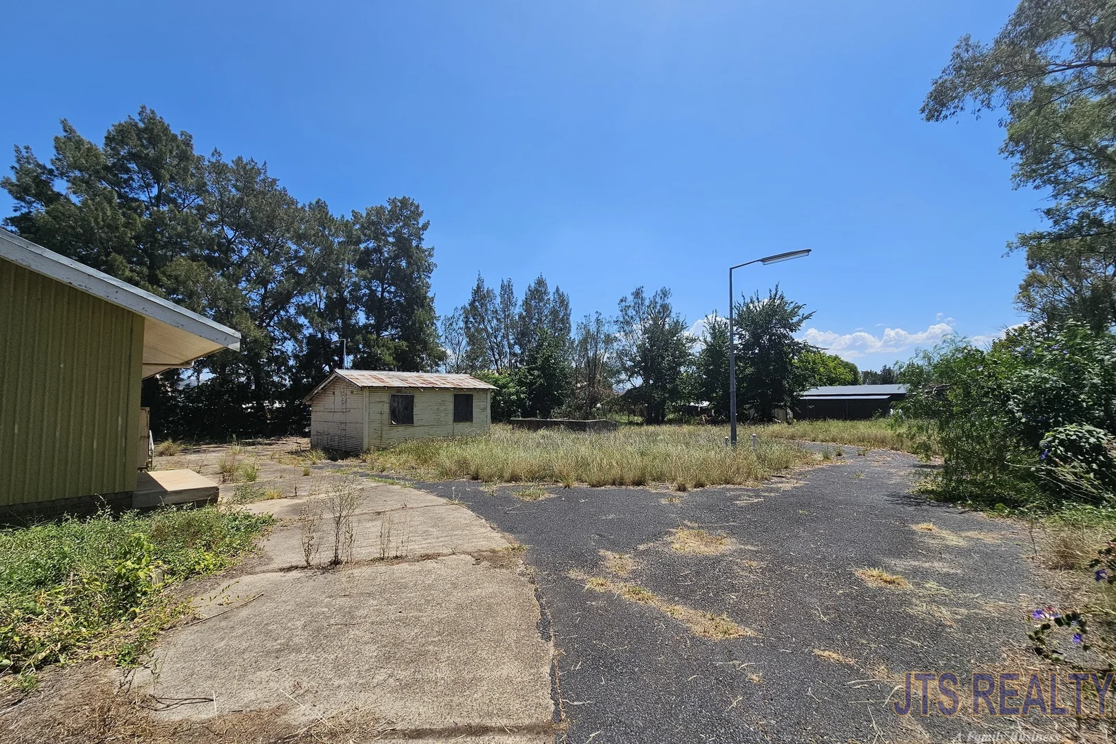 Image 11