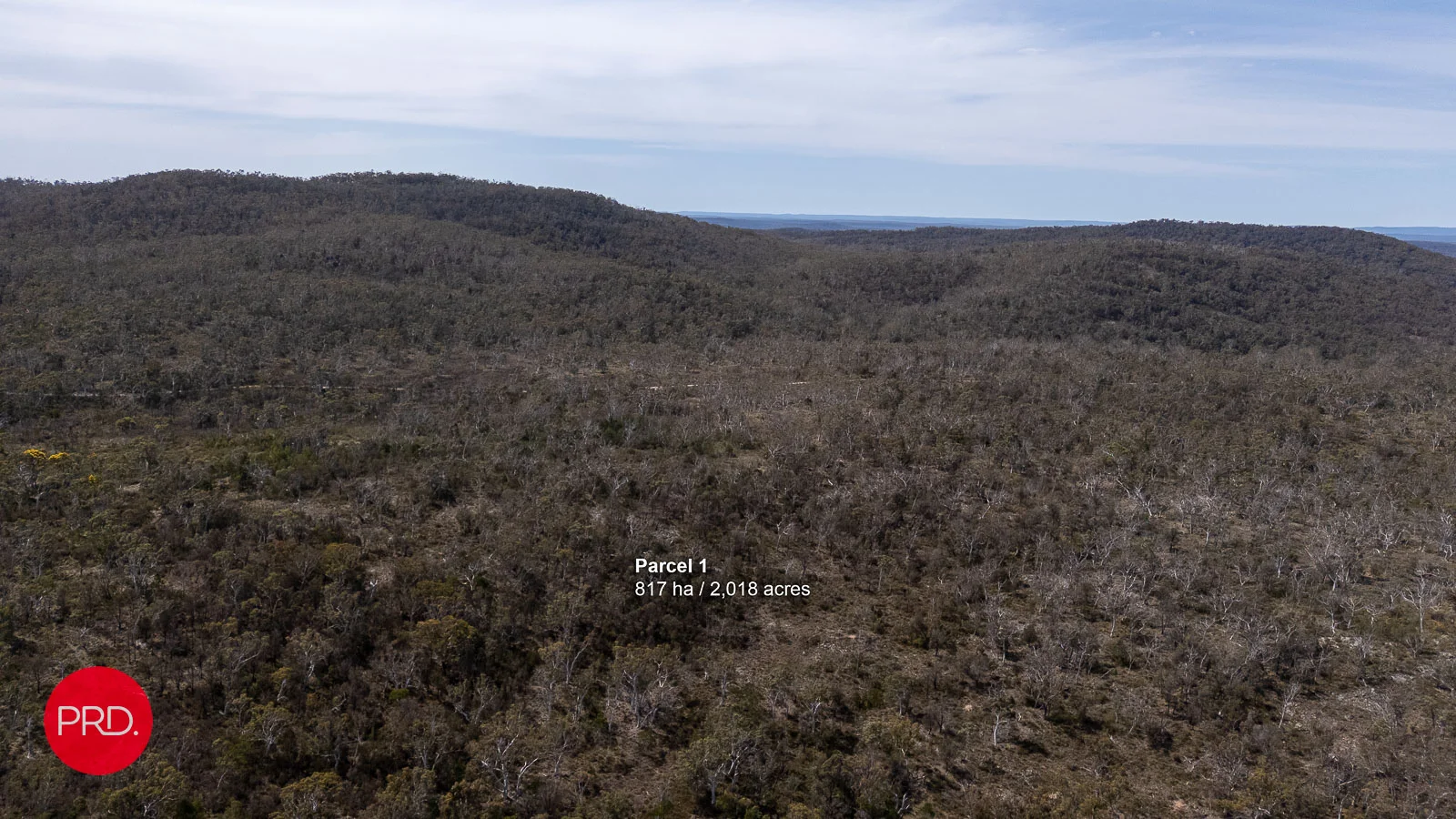 Image 14