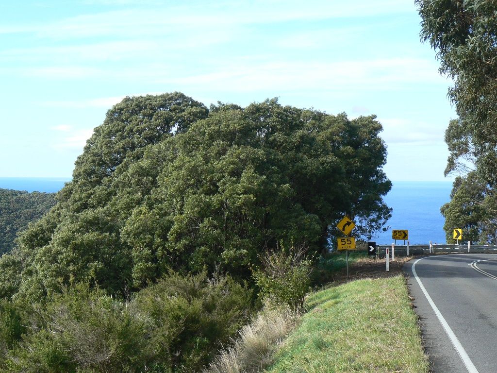 470 Skenes Creek Road, Skenes Creek North VIC 3233, Image 2