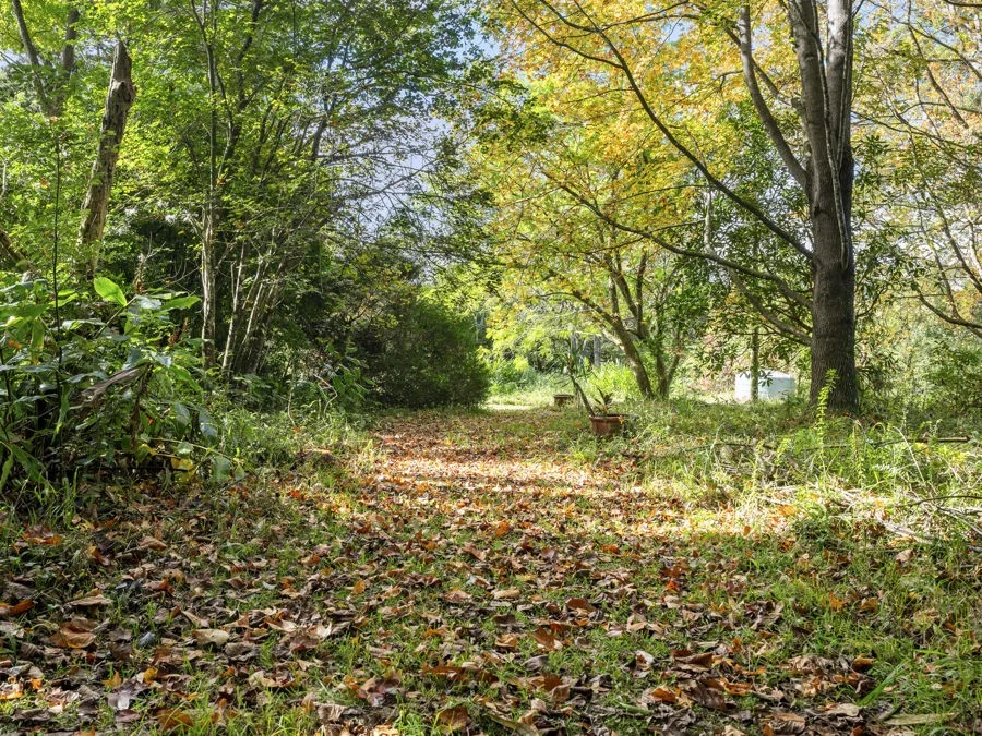 Additional image 19 of 210 Fridays Creek Road, Upper Orara NSW 2450