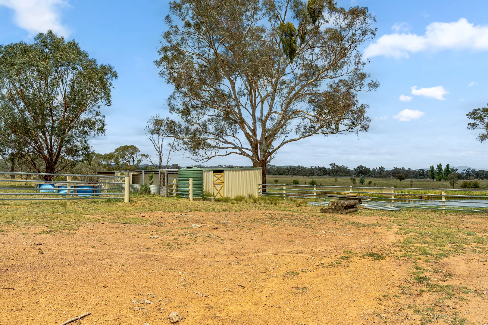 Image 13