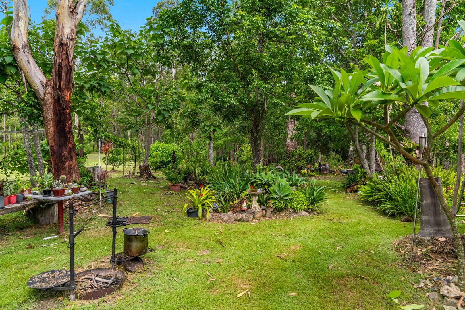 1409 Plains Station Road, Tabulam NSW 2469, Image 0