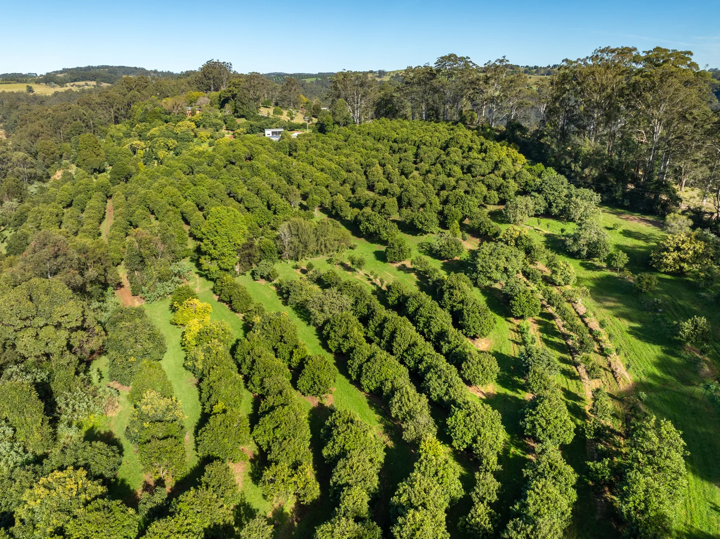 Additional image 23 of 480 Ponsfords Road, Comboyne NSW 2429