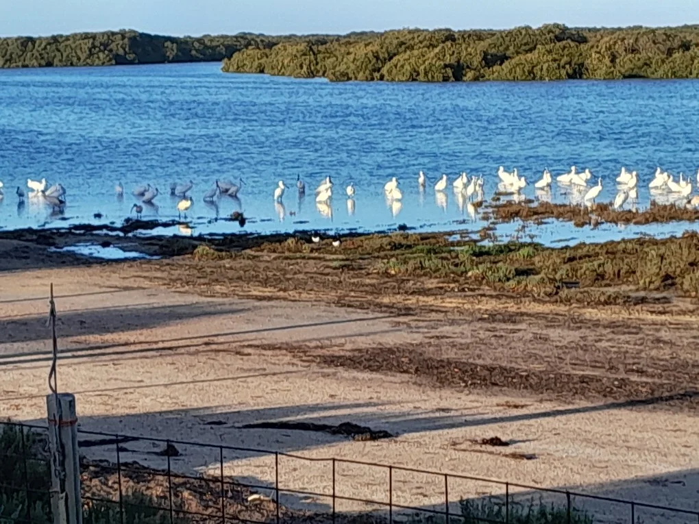 Additional image 18 of Lot 1786 The Esplanade, Middle Beach SA 5501