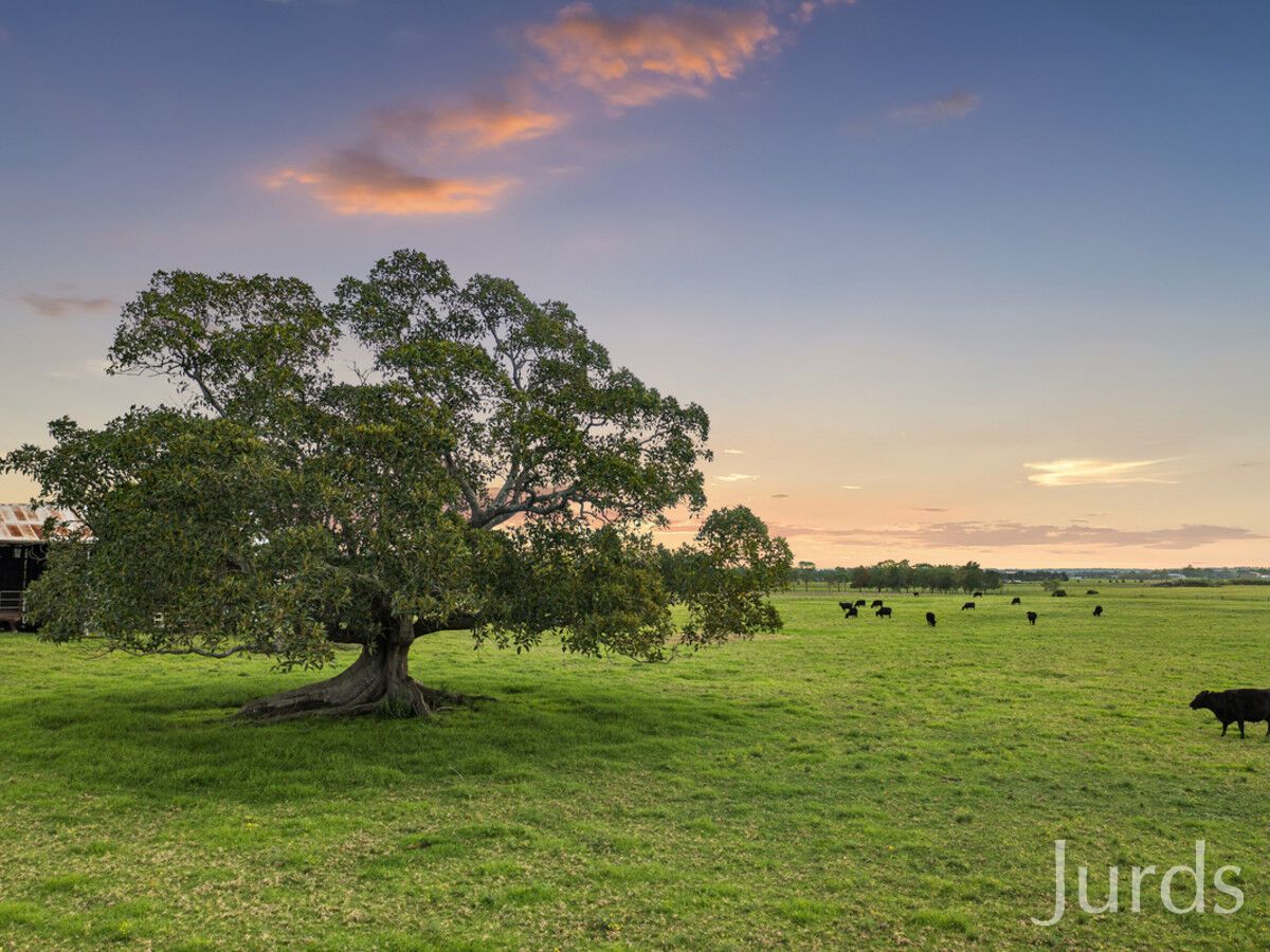 139 Monkleys Road, Millers Forest NSW 2324 House for Sale Domain