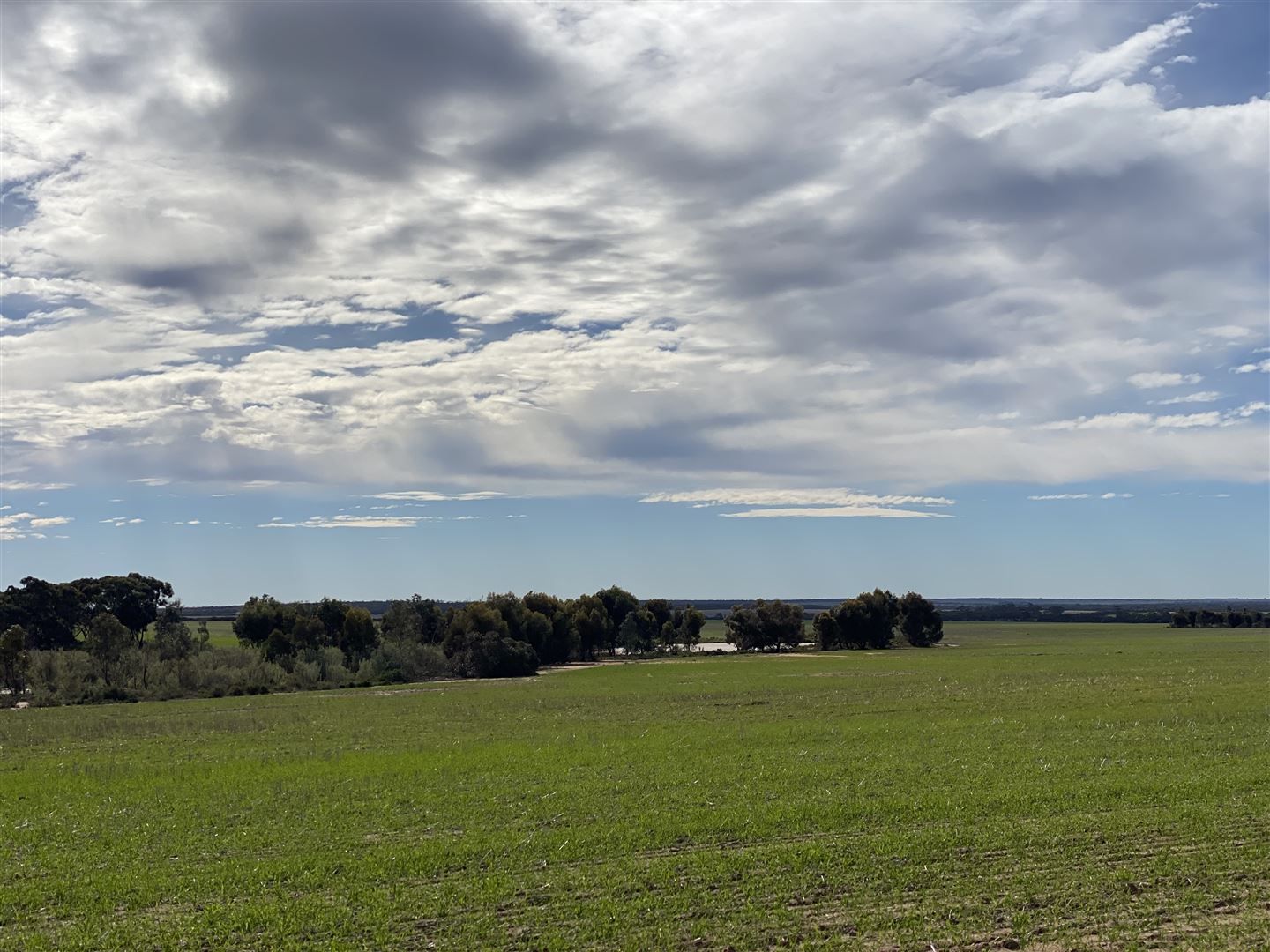 . 'Green Wood', Cleary WA 6472, Image 2