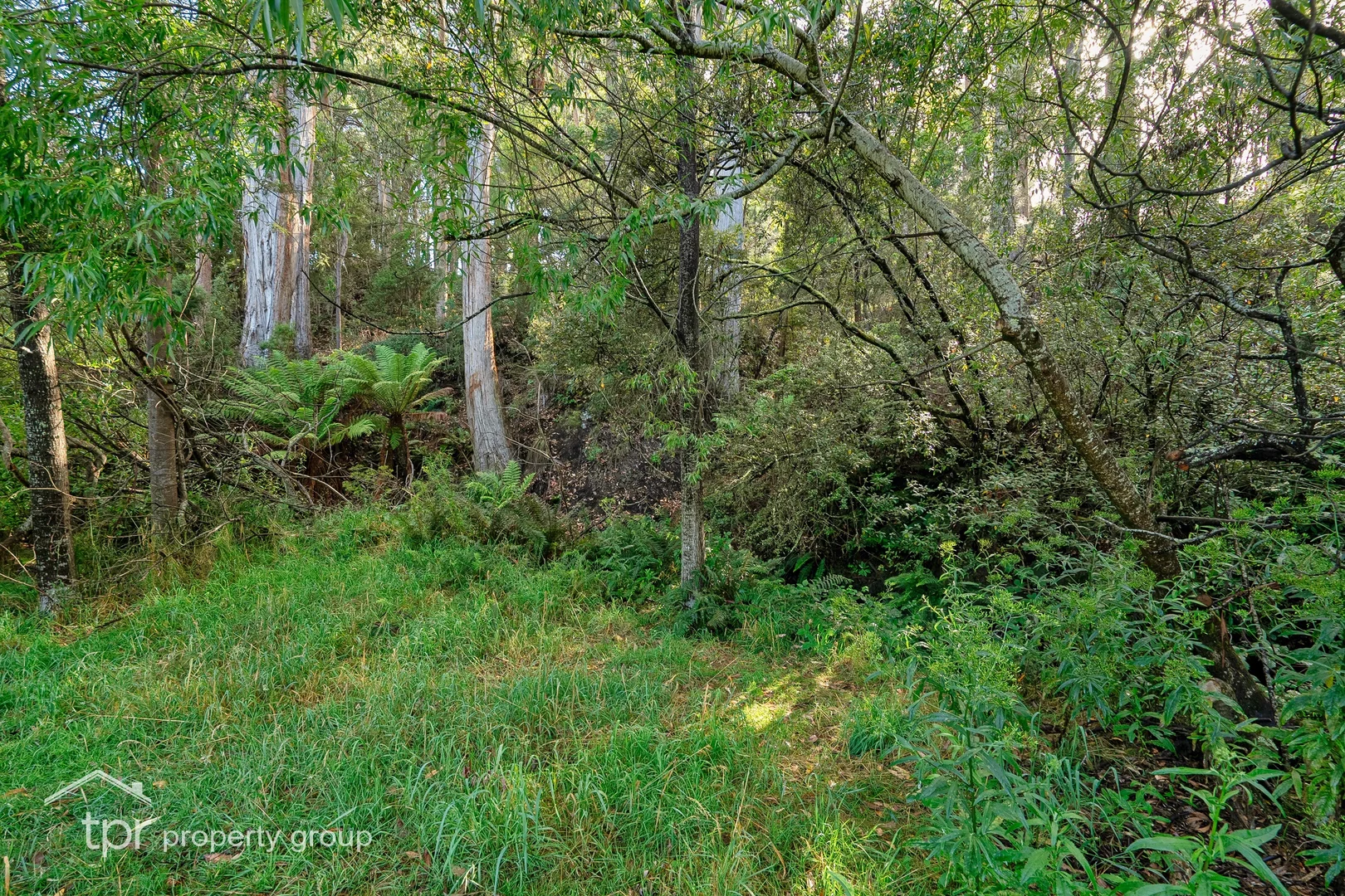 Image 11