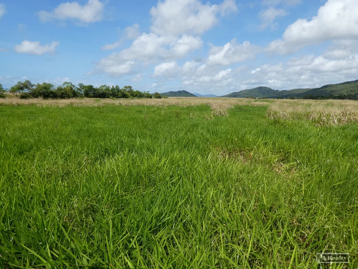 Cowley QLD 4871