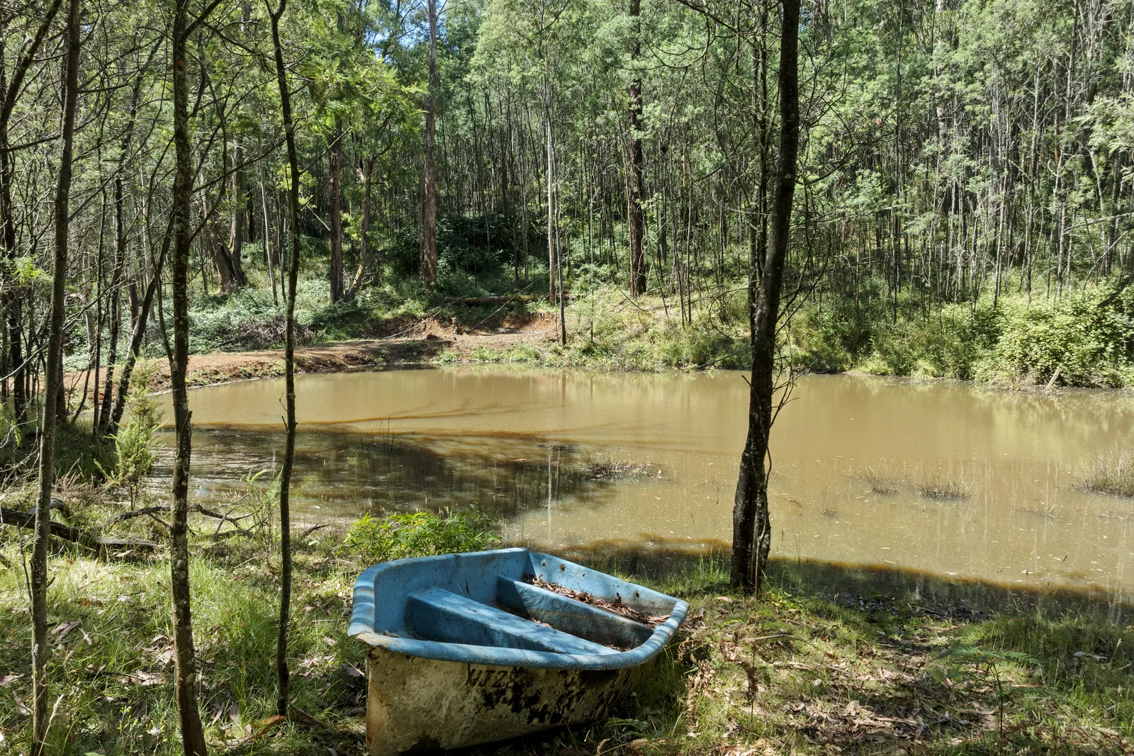 Image 13