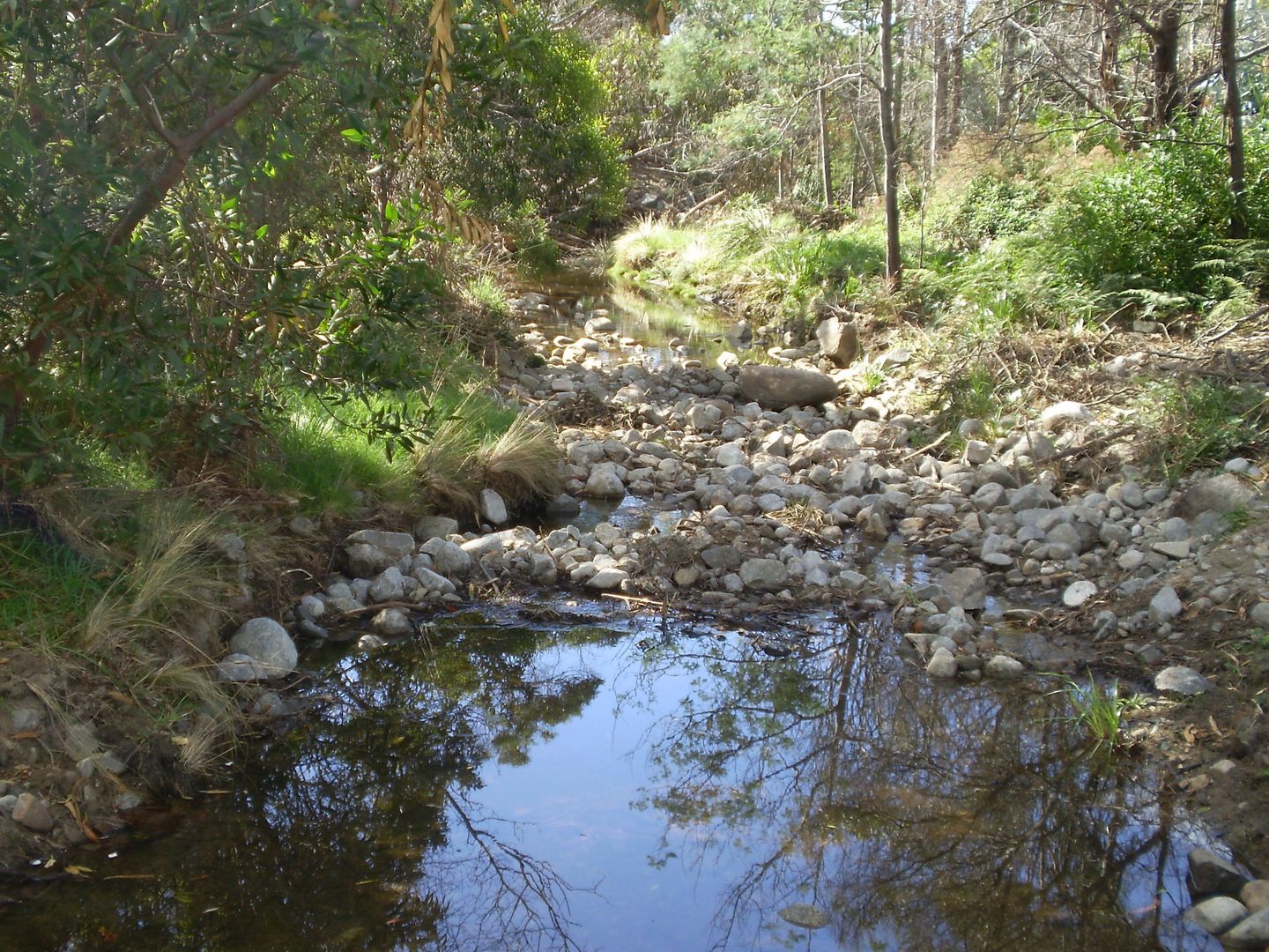 Lot 801 Tasman Highway, Four Mile Creek TAS 7215, Image 1