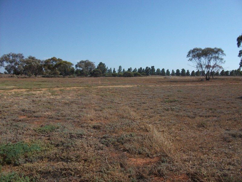 Lot 31 Caddy Road, Loveday SA 5345, Image 0