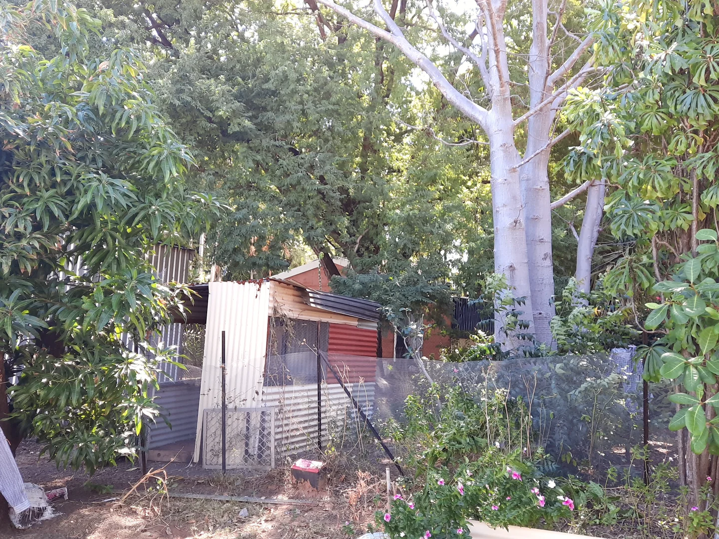 Image 5