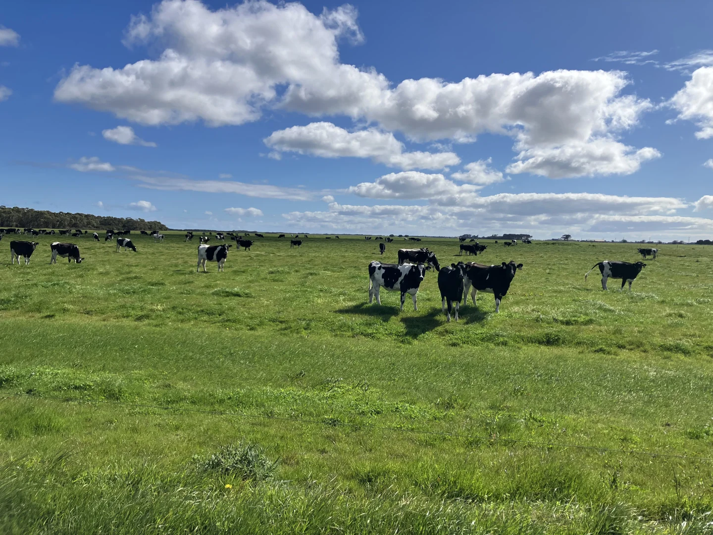 Additional image 19 of 10/648 West Montagu Road, Woolnorth TAS 7330