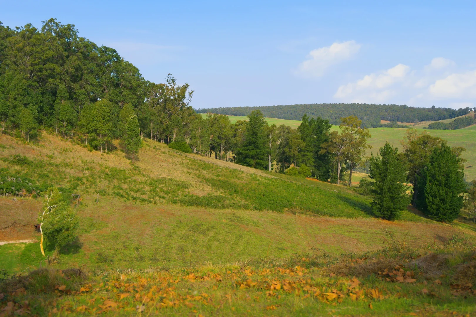 Image 14