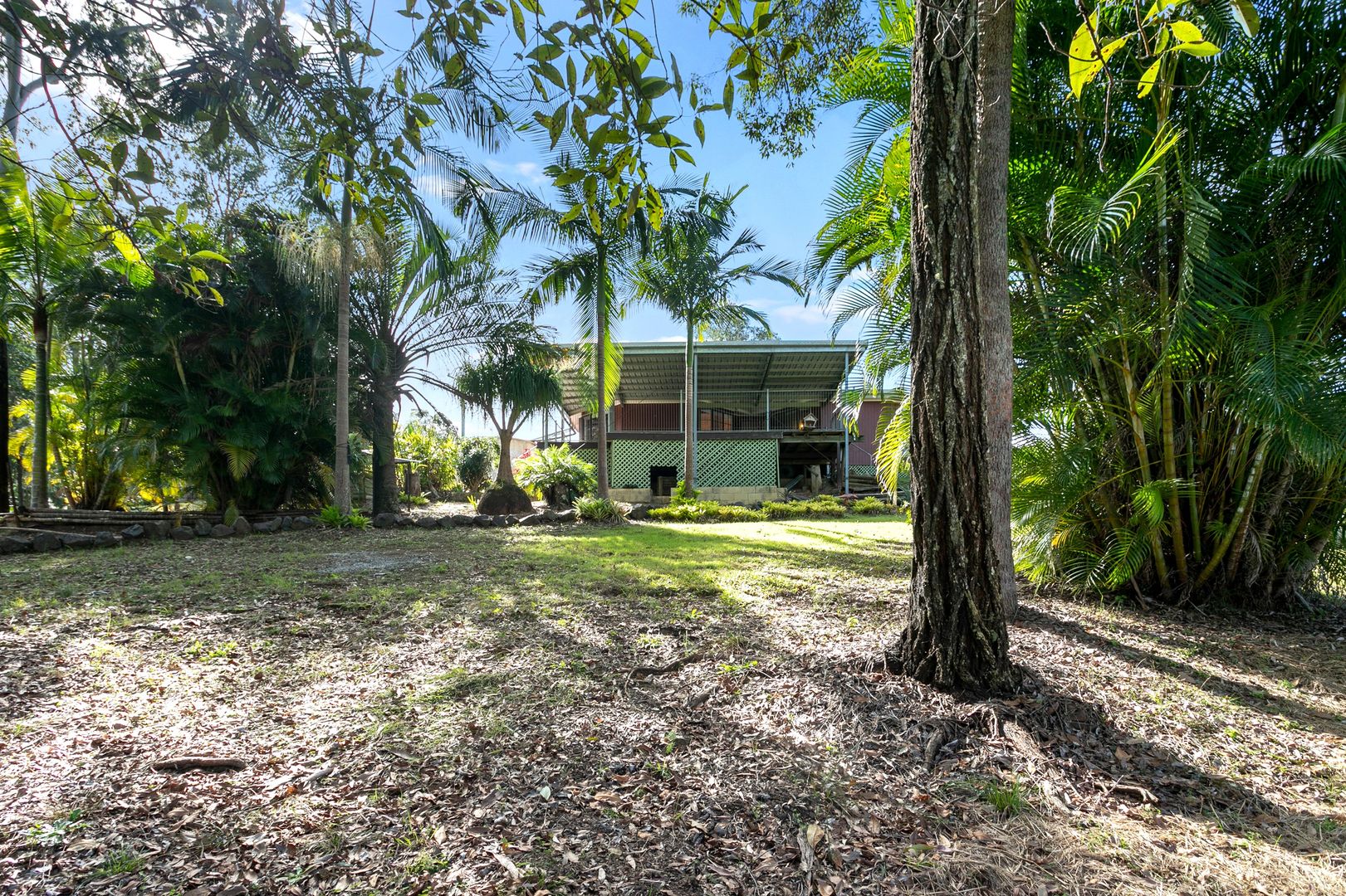 7 Hovea Road, Carters Ridge QLD 4563, Image 1