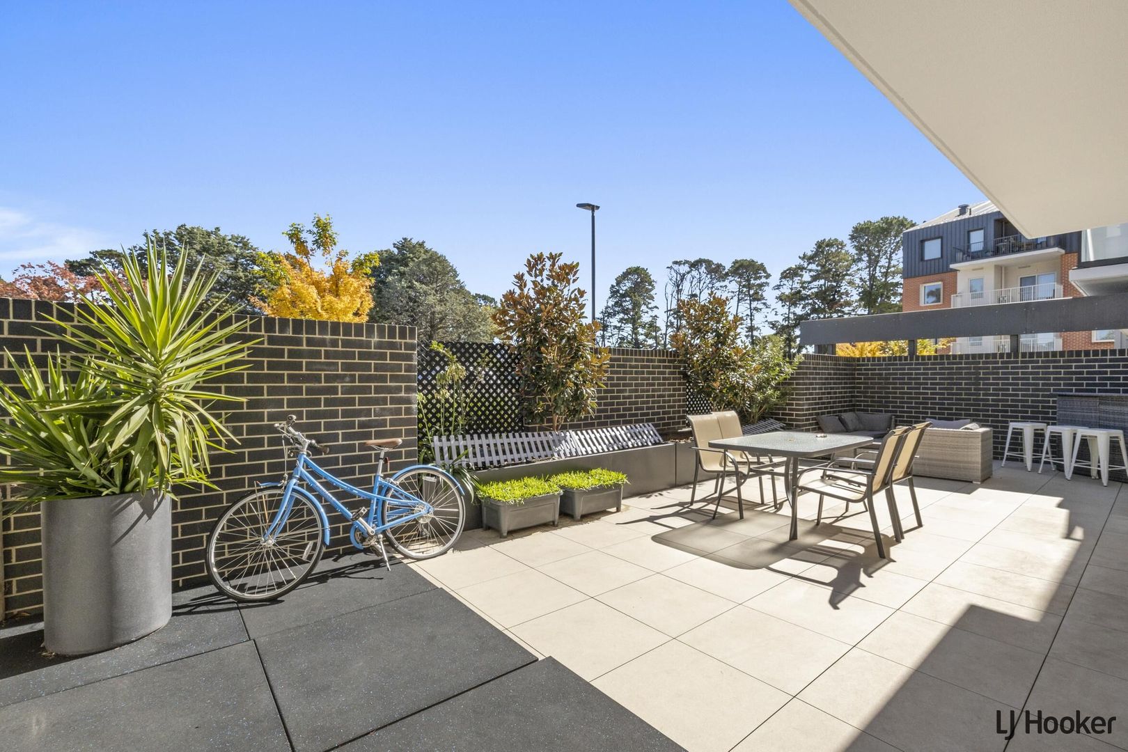 3/18 Bradfield Street, Downer ACT 2602 Apartment For Rent Domain