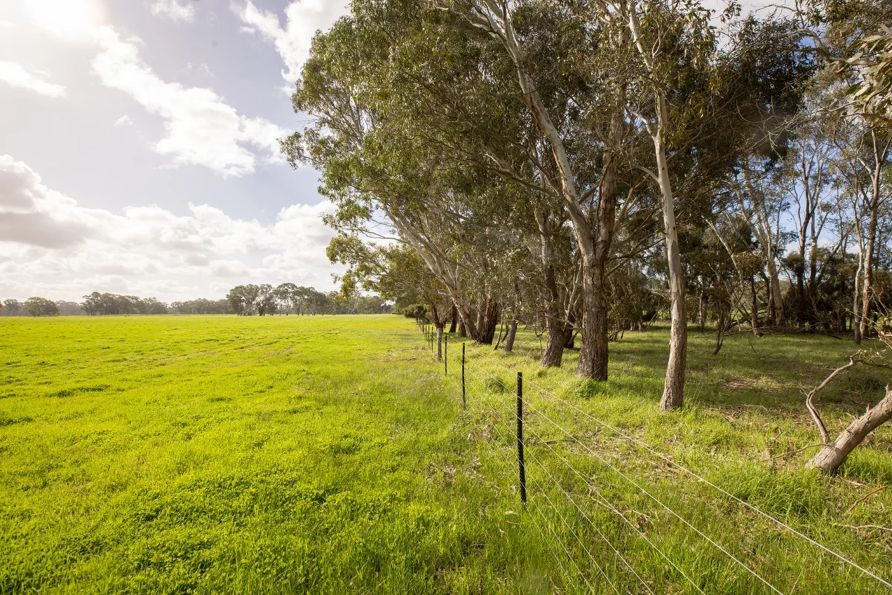 Image 35