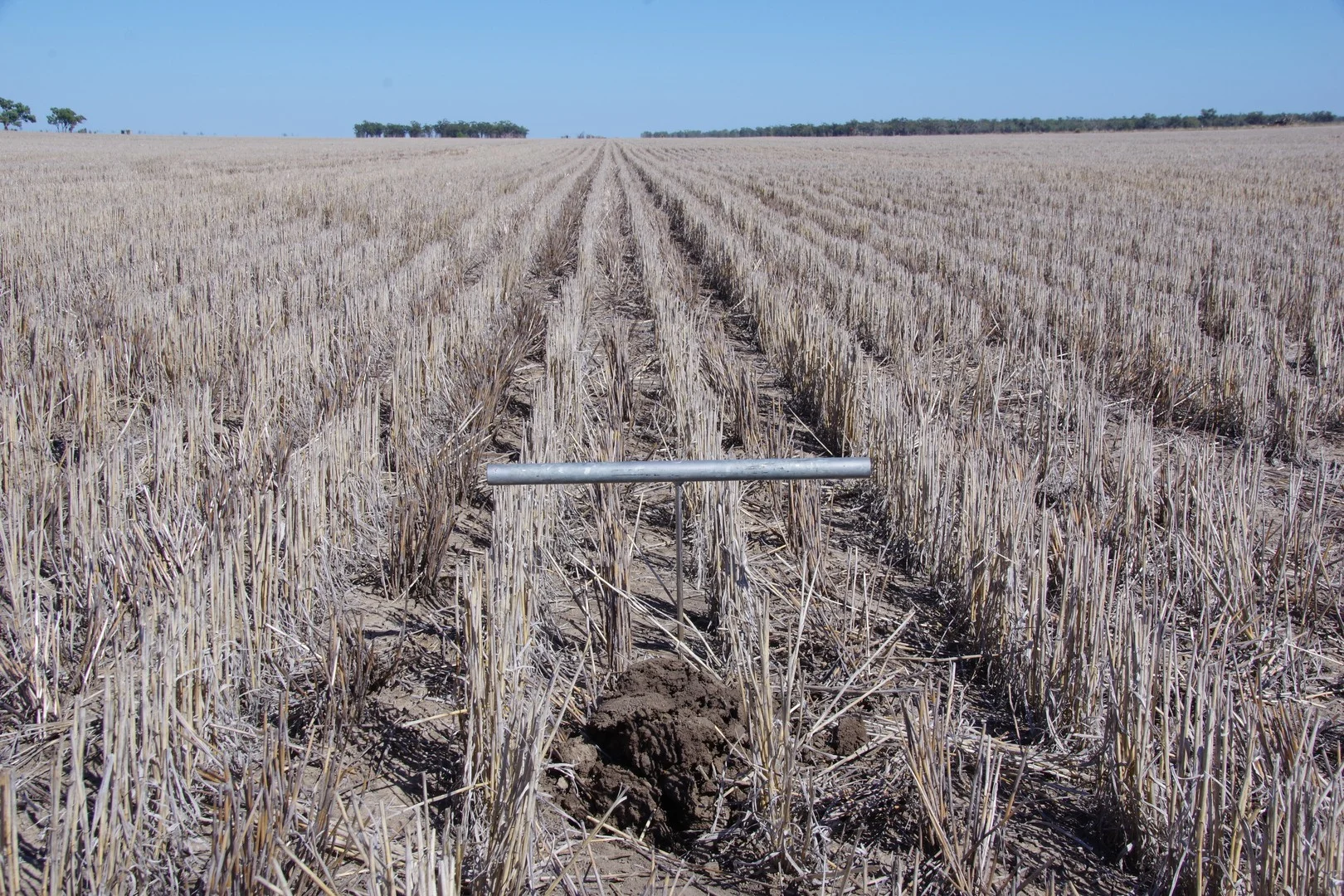 . Sunnyside Lane, Wee Waa NSW 2388