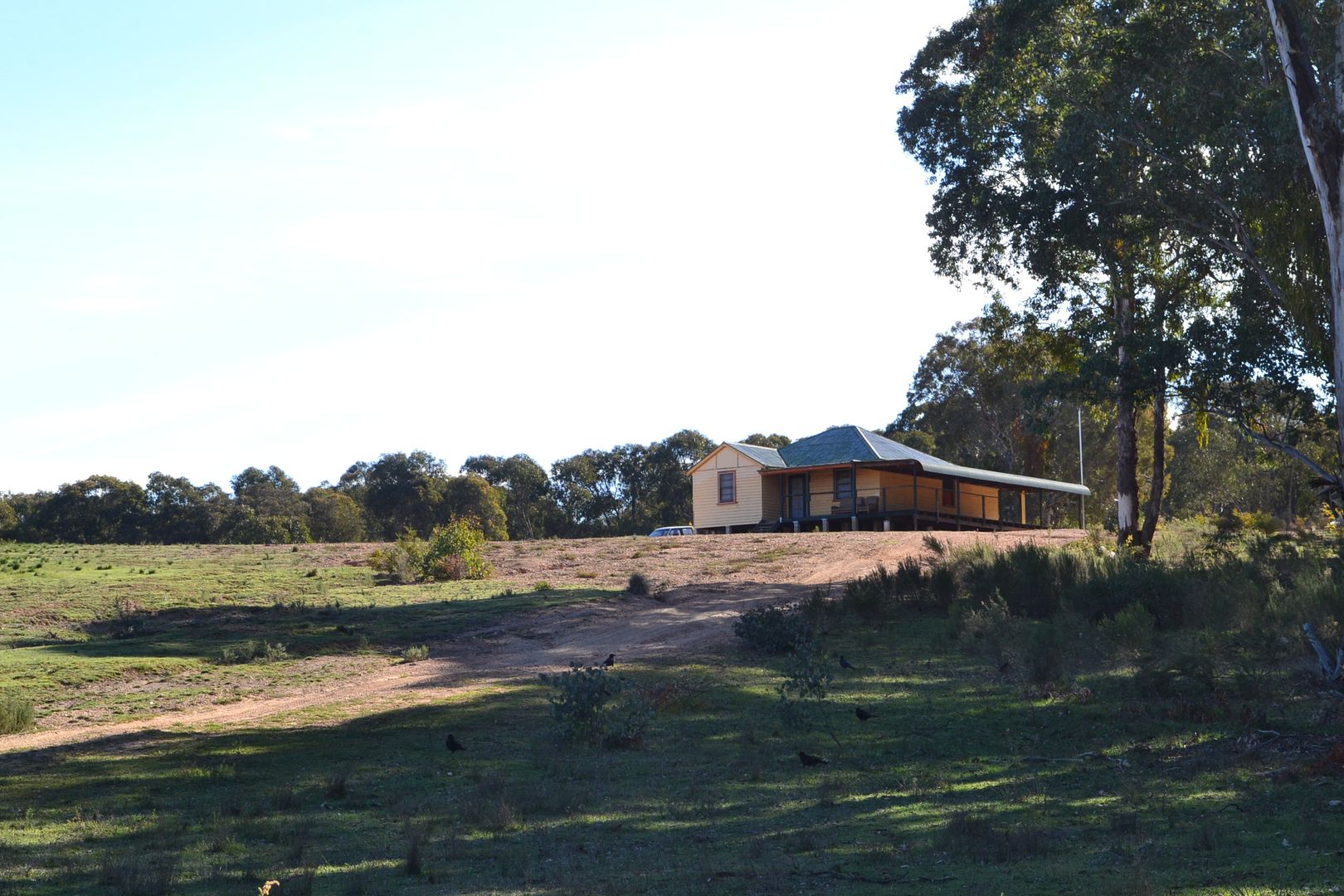 Neville NSW 2799 Rural Lifestyle Property for Sale 380,000