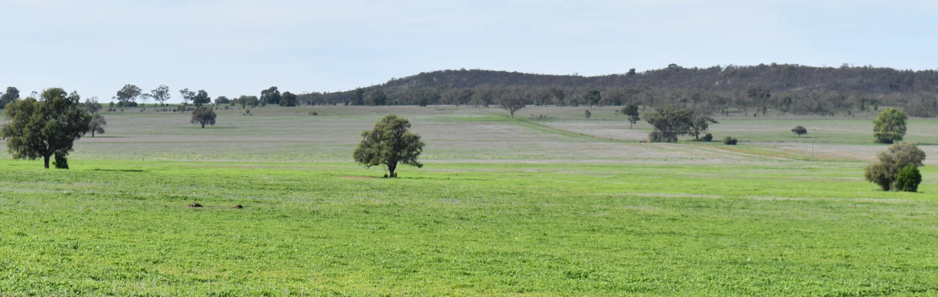 Image 13