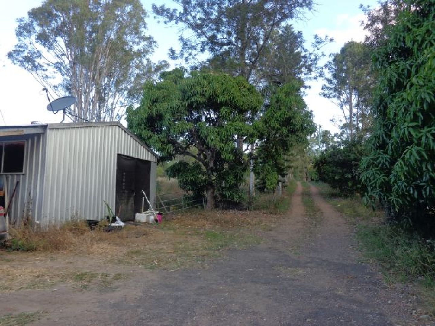 Tinana South QLD 4650 House for Sale 335000 Domain