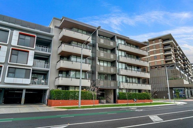 299 Apartments For Sale In Caulfield North Vic 3161 Domain