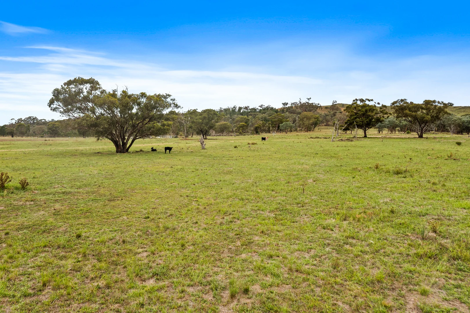 Additional image 13 of 686 Uamby Road, Gulgong NSW 2852