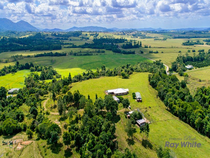 Mena Creek QLD 4871 House for Sale 635,000 Domain