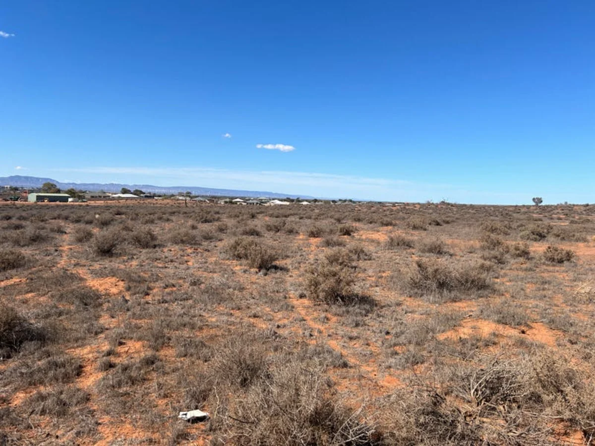 Image 6