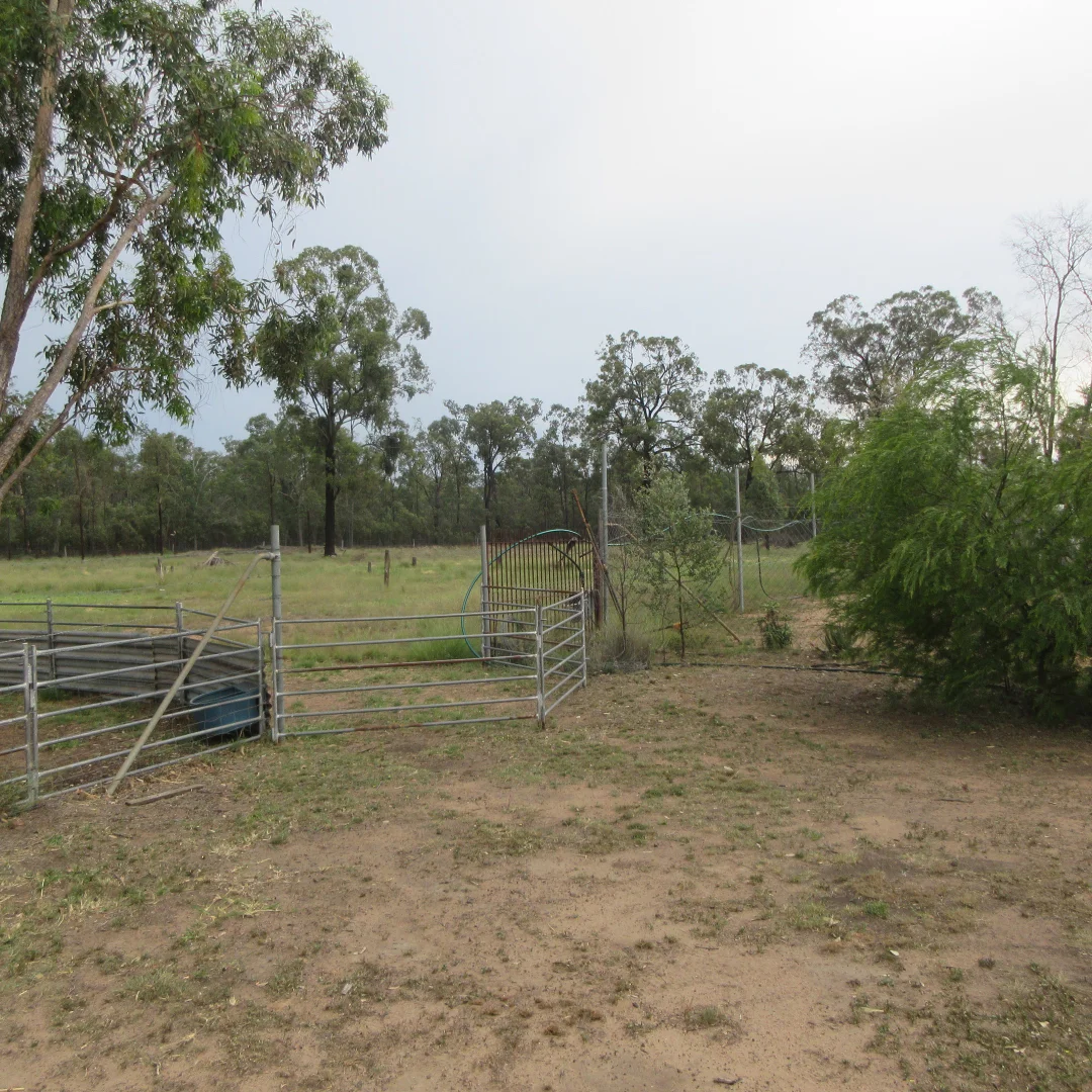 Image 16