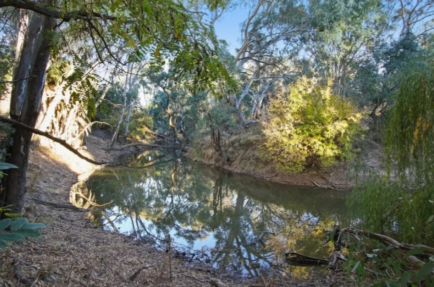 Additional image 11 of 15 Wattle Street, Culcairn NSW 2660