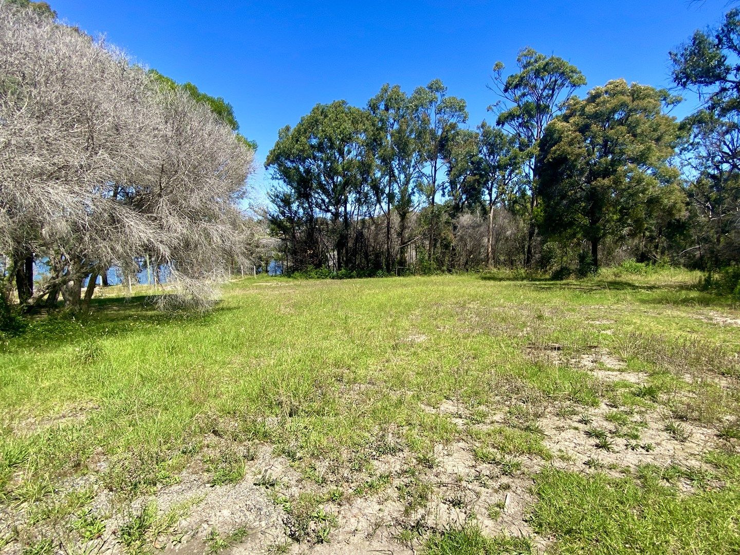 7 Banksia Parade, Mallacoota VIC 3892, Image 0