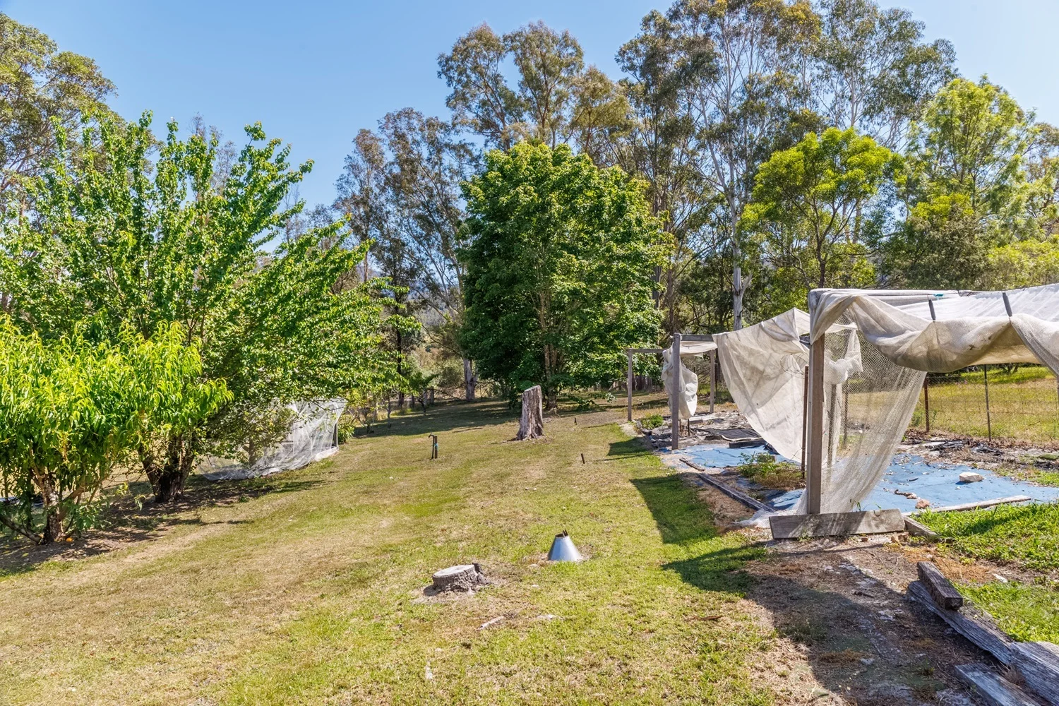 Additional image 25 of 19-21 Towamba St, Towamba NSW 2550