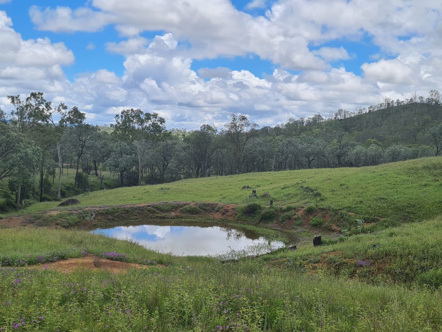 L164 Voll Road, Emu Creek QLD 4355, Image 2