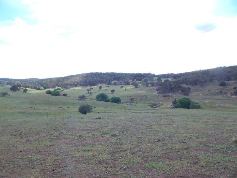 "Grandfathers Creek" Monaro Highway, Nimmitabel NSW 2631, Image 0