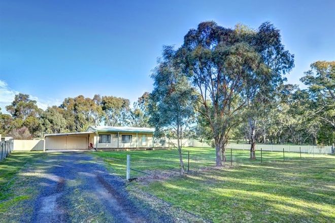 Picture of 81 Williamson Street, LEXTON VIC 3352