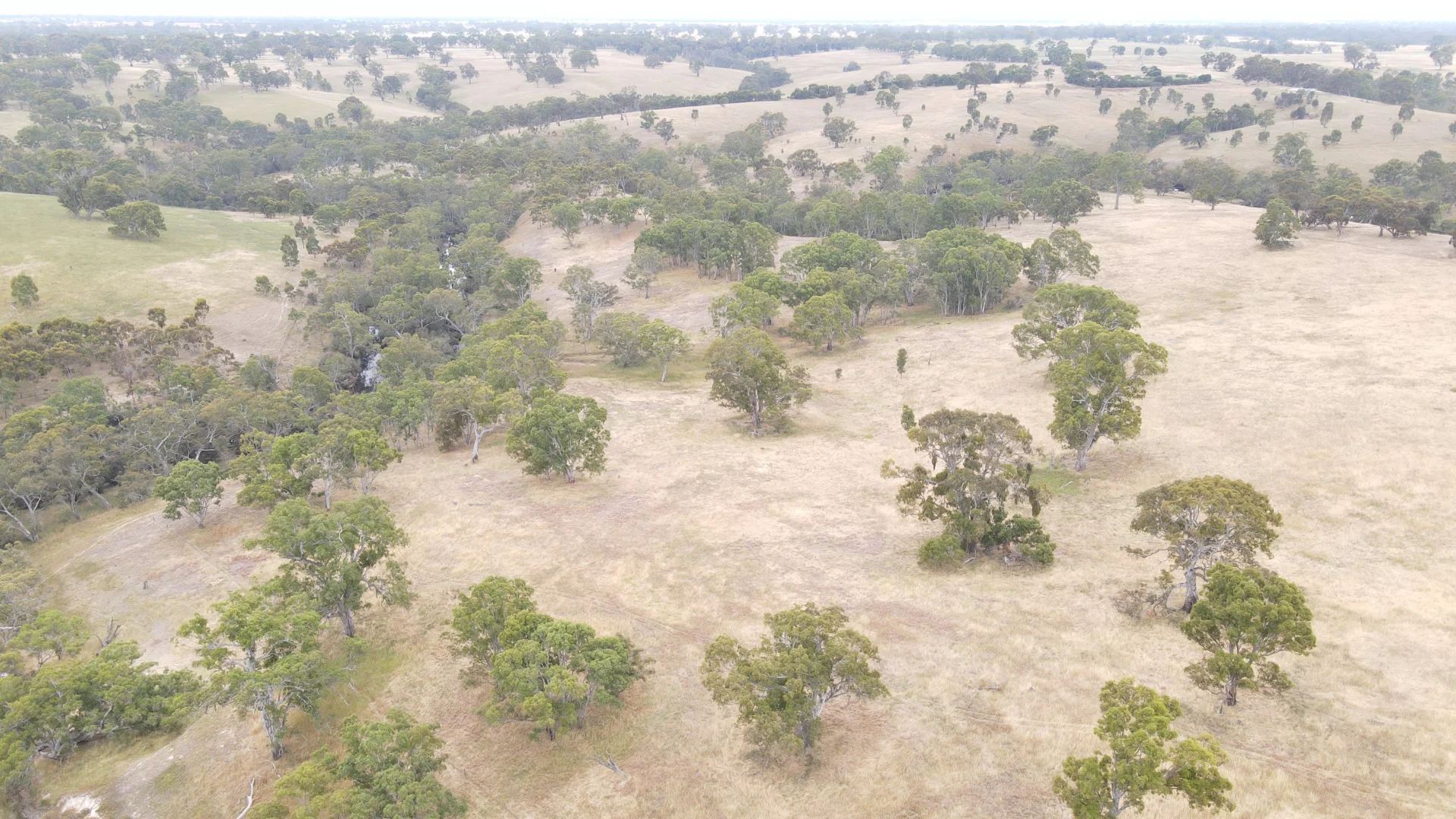 Additional image 26 of 596 Mostyn Lane, Balmoral VIC 3407