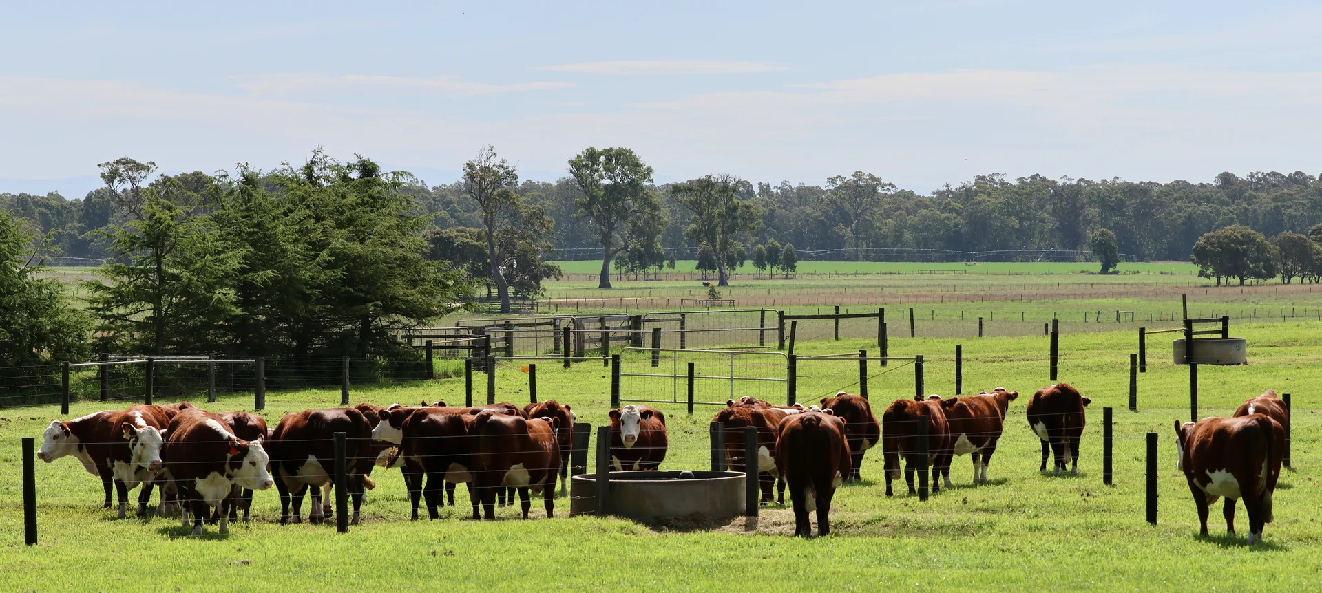 Additional image 6 of 103 Kellys Road, Longford VIC 3851