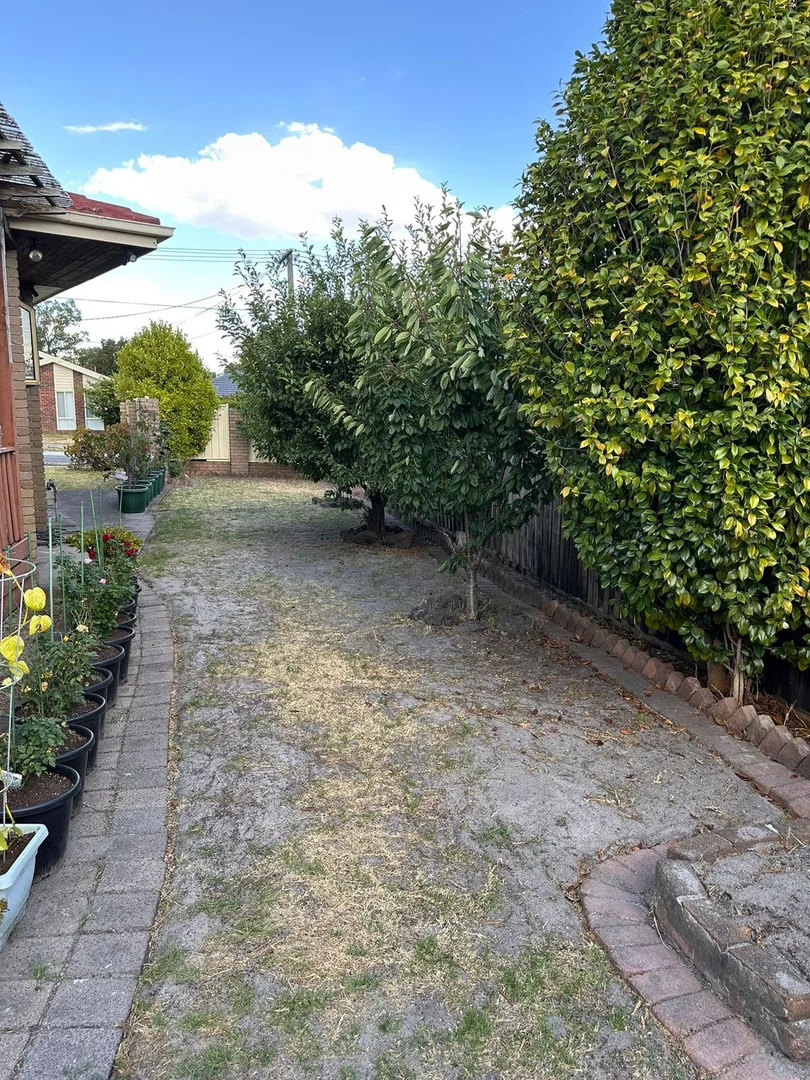 Image 20